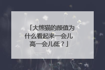 大熊猫的颜值为什么看起来一会儿高一会儿低？