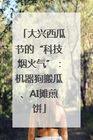 大兴西瓜节的“科技烟火气”：机器狗搬瓜、AI摊煎饼
