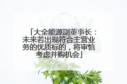 大全能源副董事长：未来若出现符合主营业务的优质标的，将审慎考虑并购机会