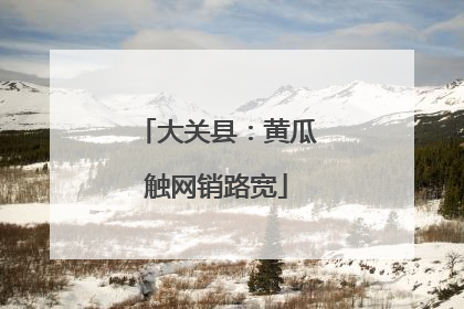 大关县：黄瓜触网销路宽