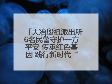 大冶殷祖派出所6名民警守护一方平安 传承红色基因 践行新时代“枫桥经验”
