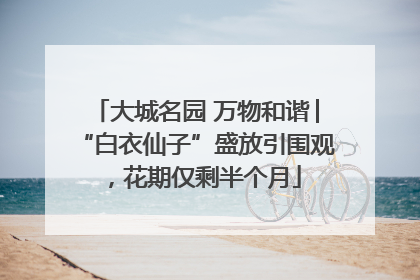 大城名园 万物和谐│“白衣仙子”盛放引围观，花期仅剩半个月