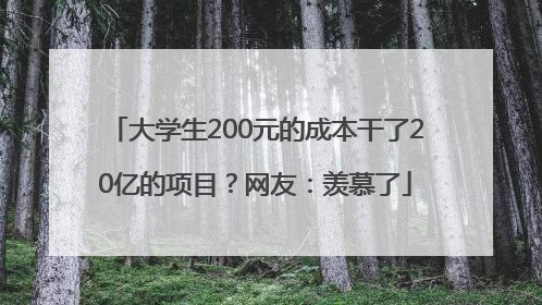 大学生200元的成本干了20亿的项目？网友：羡慕了
