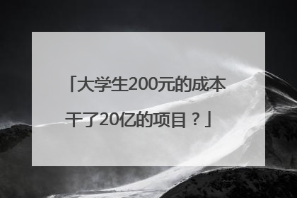 大学生200元的成本干了20亿的项目？