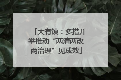 大有镇：多措并举推动“两清两改两治理”见成效