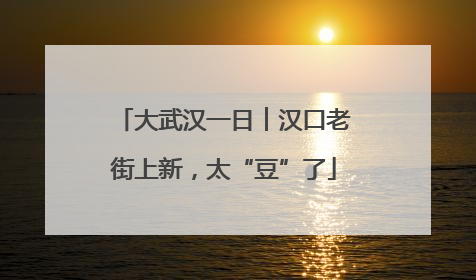 大武汉一日︱汉口老街上新，太“豆”了