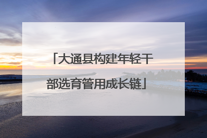 大通县构建年轻干部选育管用成长链