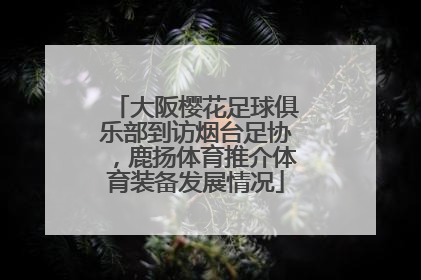 大阪樱花足球俱乐部到访烟台足协，鹿扬体育推介体育装备发展情况