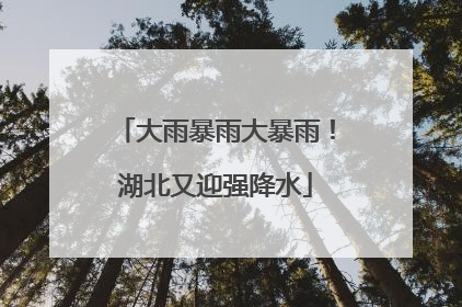 大雨暴雨大暴雨！湖北又迎强降水