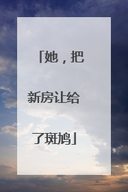 她，把新房让给了斑鸠