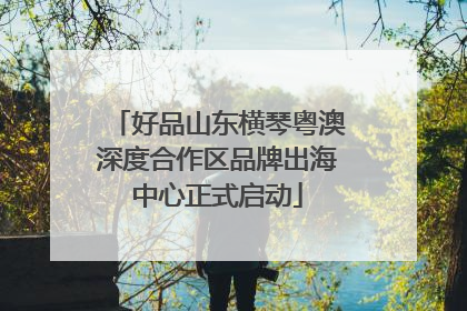 好品山东横琴粤澳深度合作区品牌出海中心正式启动