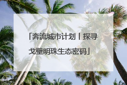 奔流城市计划丨探寻戈壁明珠生态密码