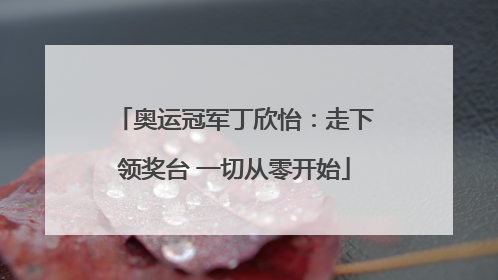 奥运冠军丁欣怡：走下领奖台 一切从零开始