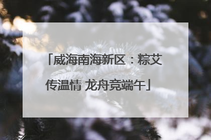 威海南海新区：粽艾传温情 龙舟竞端午
