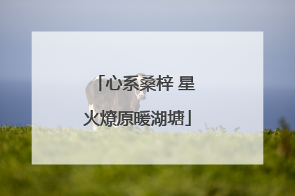心系桑梓 星火燎原暖湖塘