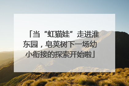 当“虹猫娃”走进淮东园，皂荚树下一场幼小衔接的探索开始啦