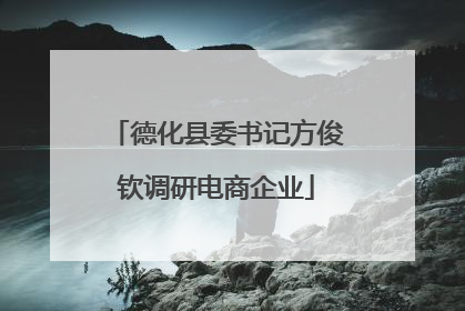 德化县委书记方俊钦调研电商企业