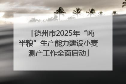 德州市2025年“吨半粮”生产能力建设小麦测产工作全面启动