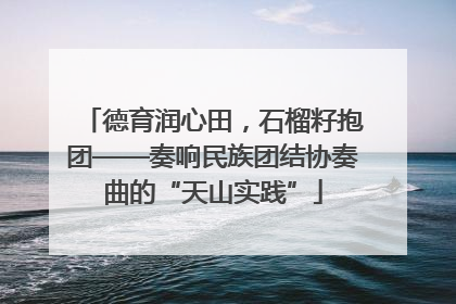 德育润心田，石榴籽抱团——奏响民族团结协奏曲的“天山实践”