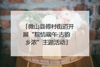 微山县傅村街道开展“粽情端午·古韵乡浓”主题活动