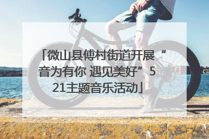 微山县傅村街道开展“音为有你 遇见美好”521主题音乐活动