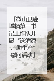 微山县驩城镇第一书记工作队开展“送清凉、助生产”慰问活动