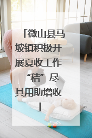 微山县马坡镇积极开展夏收工作 “秸”尽其用助增收