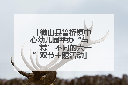 微山县鲁桥镇中心幼儿园举办“与‘粽’不同的六一”双节主题活动