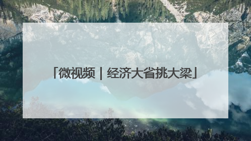 微视频｜经济大省挑大梁