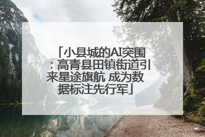 小县城的AI突围：高青县田镇街道引来星途旗航 成为数据标注先行军