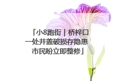 小8跑街｜桥梓口一处井盖破损存隐患 市民盼立即整修