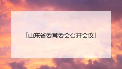 山东省委常委会召开会议