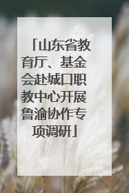 山东省教育厅、基金会赴城口职教中心开展鲁渝协作专项调研