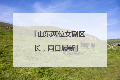 山东两位女副区长，同日履新