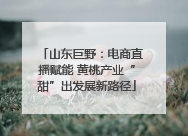 山东巨野：电商直播赋能 黄桃产业“甜”出发展新路径