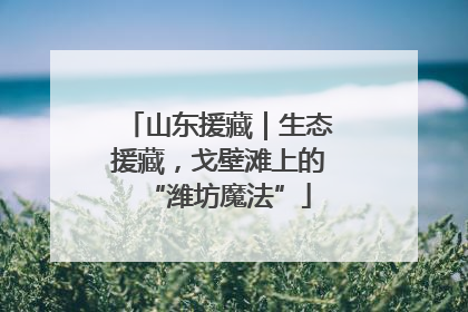 山东援藏｜生态援藏，戈壁滩上的“潍坊魔法”