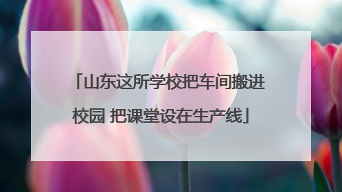 山东这所学校把车间搬进校园 把课堂设在生产线