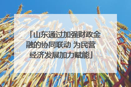 山东通过加强财政金融的协同联动 为民营经济发展加力赋能