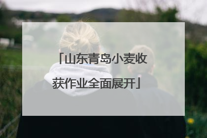 山东青岛小麦收获作业全面展开
