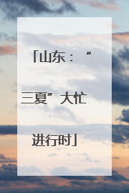 山东：“三夏”大忙进行时