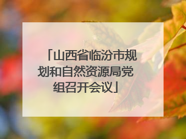 山西省临汾市规划和自然资源局党组召开会议