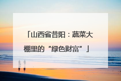 山西省昔阳：蔬菜大棚里的“绿色财富”
