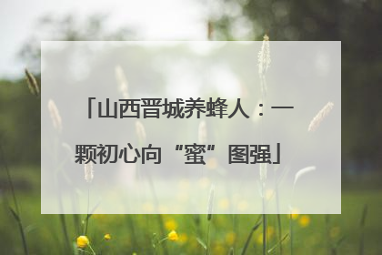 山西晋城养蜂人：一颗初心向“蜜”图强