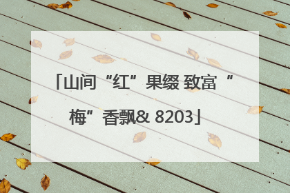 山间“红”果缀 致富“梅”香飘& 8203