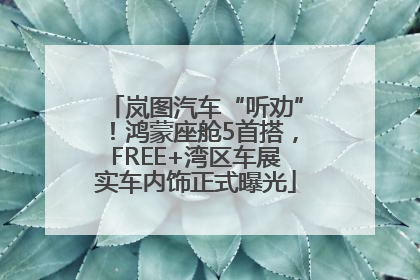 岚图汽车“听劝”！鸿蒙座舱5首搭，FREE+湾区车展实车内饰正式曝光