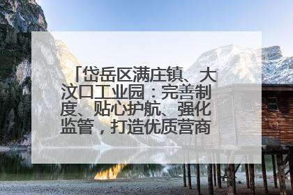 岱岳区满庄镇、大汶口工业园：完善制度、贴心护航、强化监管，打造优质营商“强磁场”