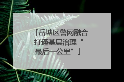 岳塘区警网融合 打通基层治理“最后一公里”