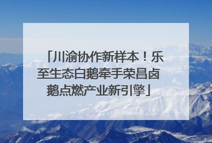 川渝协作新样本！乐至生态白鹅牵手荣昌卤鹅点燃产业新引擎