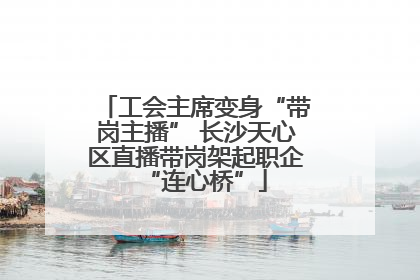 工会主席变身“带岗主播” 长沙天心区直播带岗架起职企“连心桥”