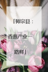 师宗县：香葱产业一路鲜